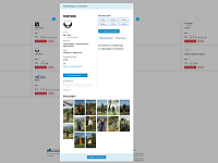 9-� ������������� ��������-��������� �� ����������� ��� ������ �������������� �BEE-TOGETHER.ru Online�